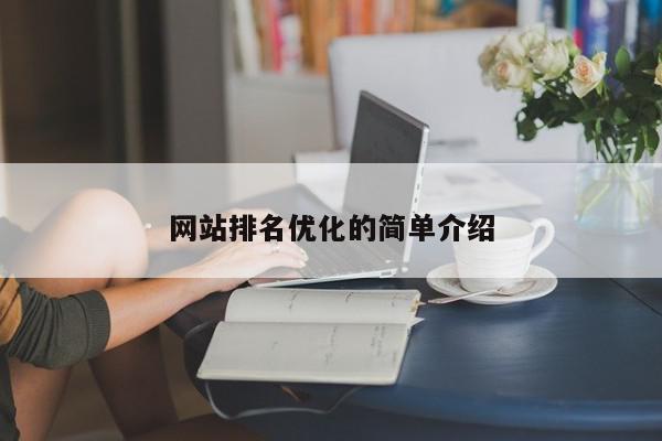 網(wǎng)站排名優(yōu)化的簡單介紹