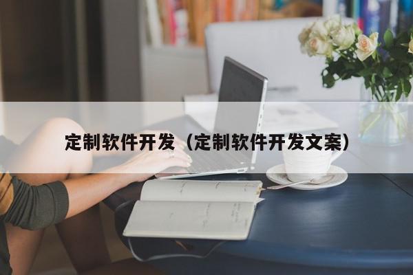 定制軟件開發(fā)（定制軟件開發(fā)文案）