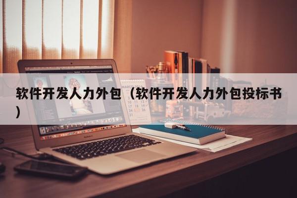 軟件開發(fā)人力外包（軟件開發(fā)人力外包投標書）