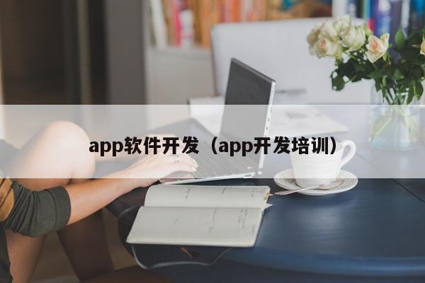 app軟件開發(fā)（app開發(fā)培訓）