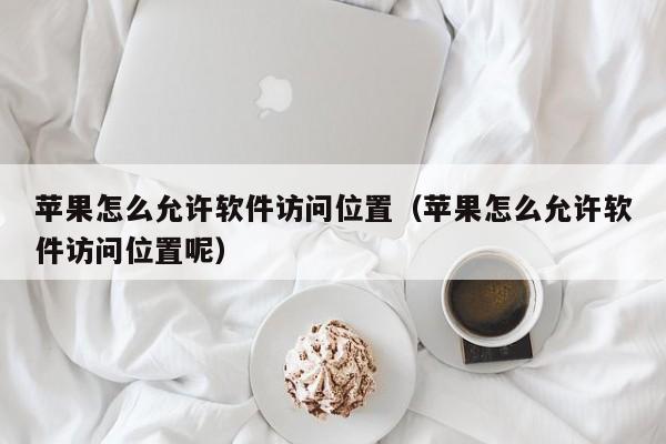 蘋果怎么允許軟件訪問位置（蘋果怎么允許軟件訪問位置呢）