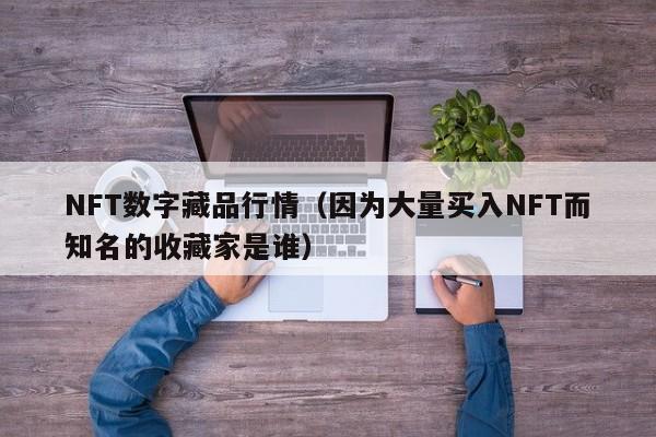 NFT數(shù)字藏品行情（因為大量買入NFT而知名的收藏家是誰）