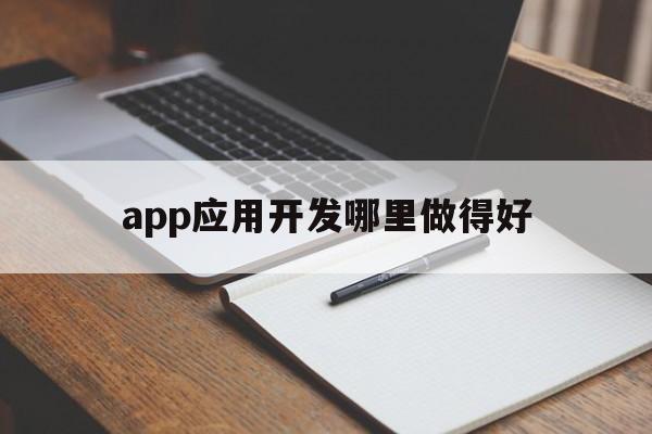 app應(yīng)用開發(fā)哪里做得好(各種app開發(fā)的是學什么專業(yè)的)